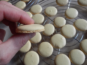 macaron